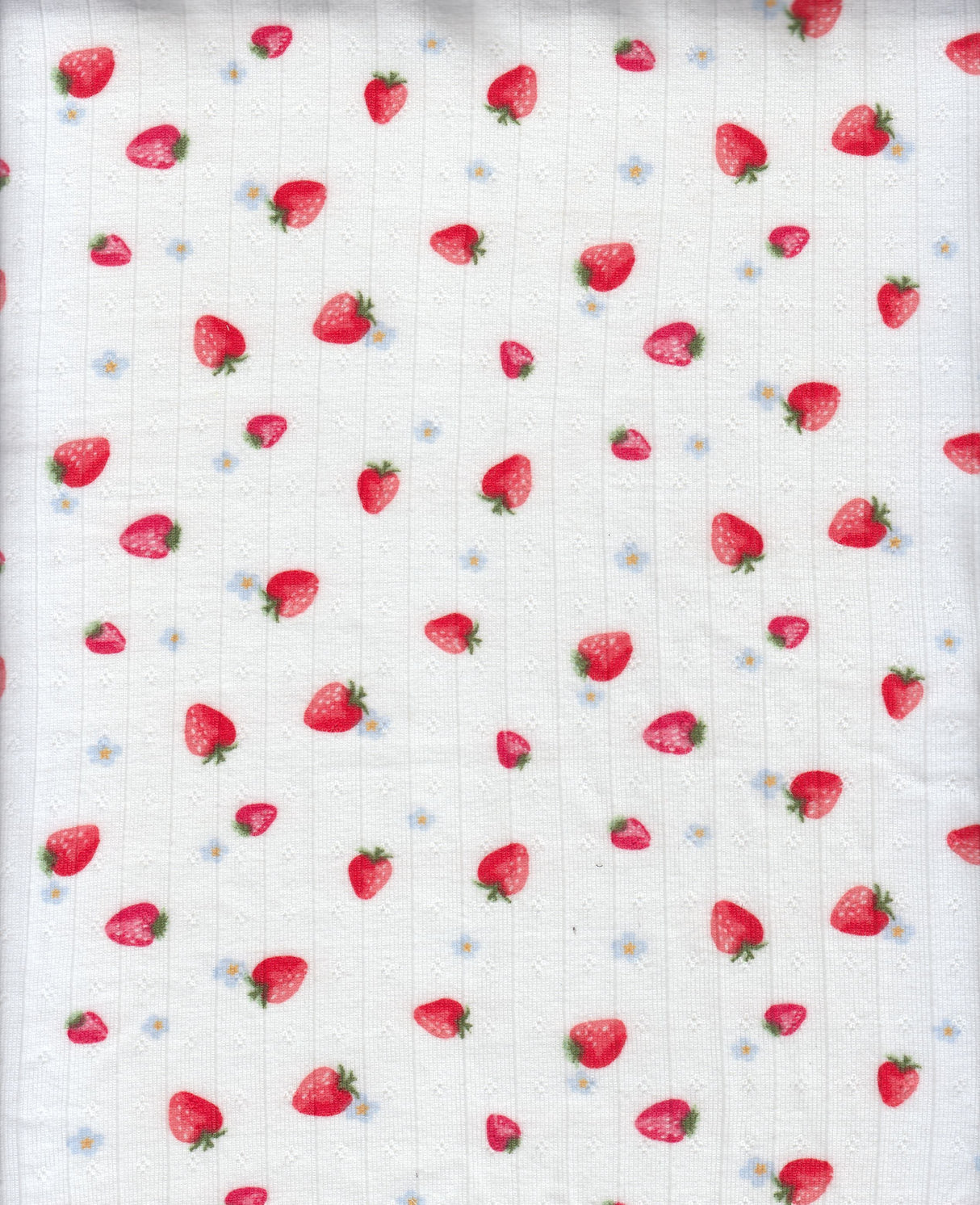 Strawberry Print Pointelle Knit Fabric