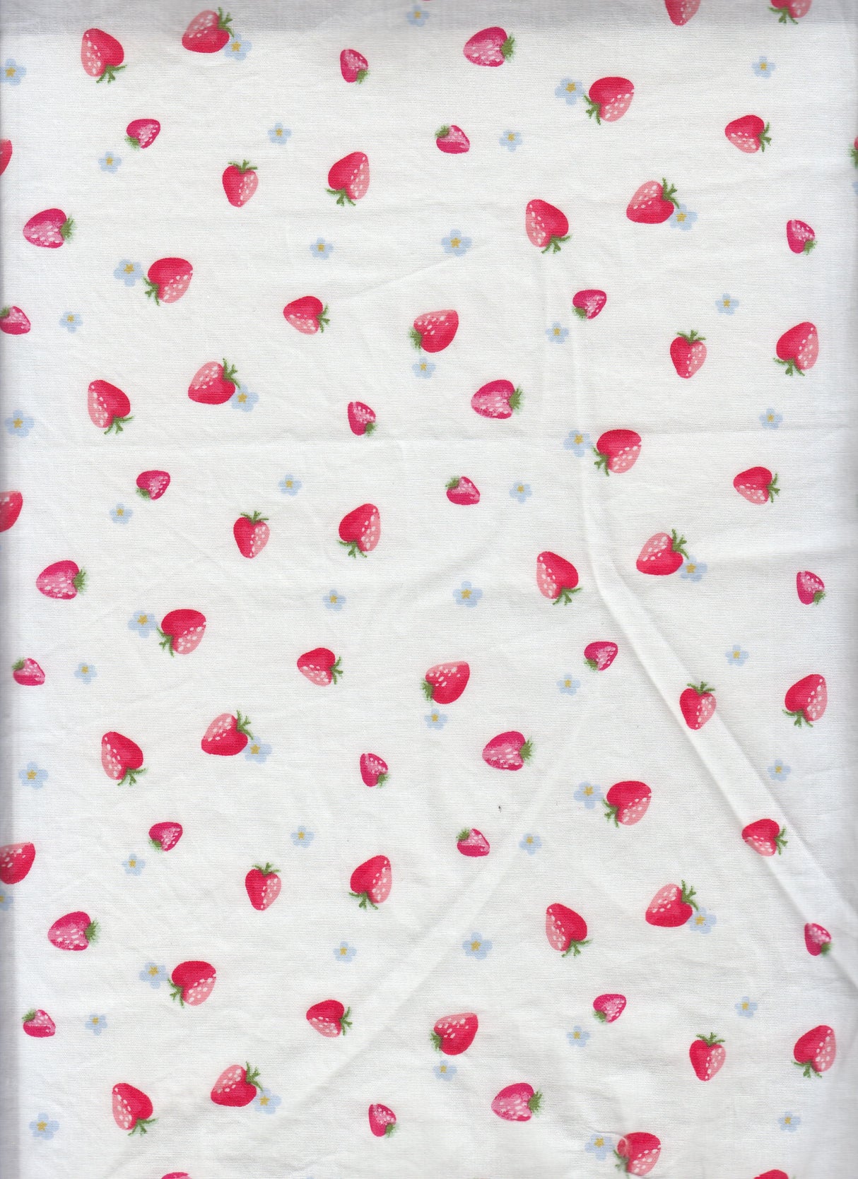 Strawberry Print Stretch Poplin Fabric