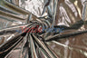 Metallic Foil Spandex Lame Spandex Fabric - All Over Foil, 60" Width (1 Yard)