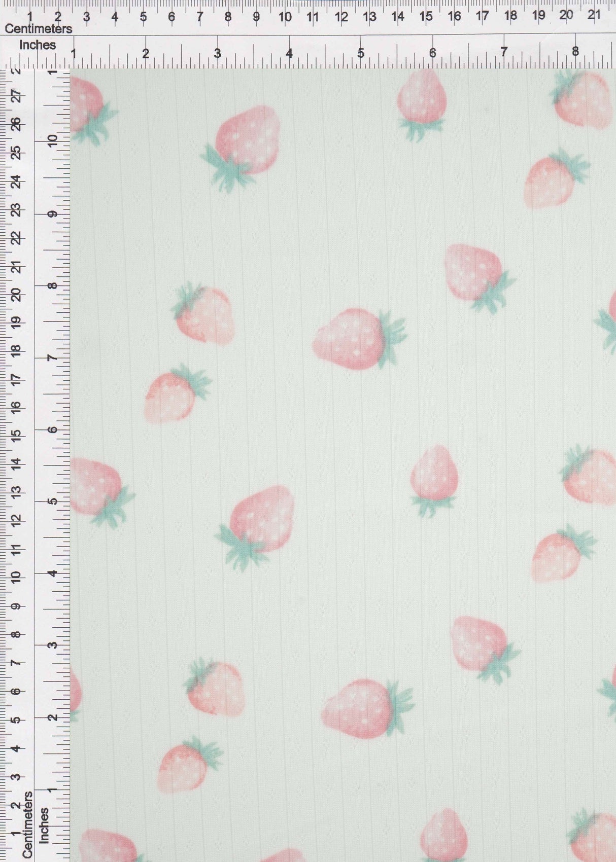 Pointelle Ribbed Knit Strawberry Print Fabric