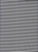 Ponte Knit Small Stripe Ivory/Black