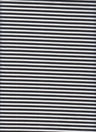 Ponte Knit Small Stripe Ivory/Black
