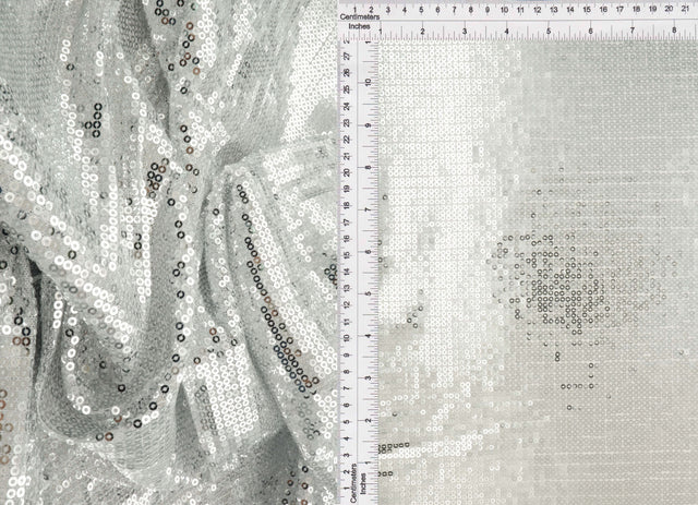 Embroidered Sequin Mesh Silver