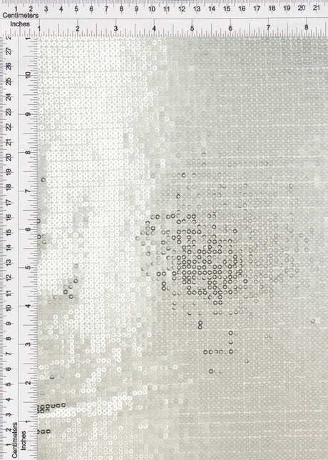 Embroidered Sequin Mesh Silver
