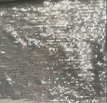 Embroidered Sequin Mesh Silver
