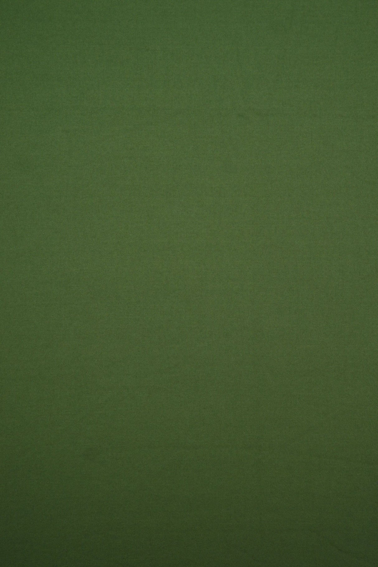 DTY Brushed Stretch Knit Fabric