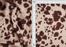 Cow Print Brushed DTY Knit Fabric