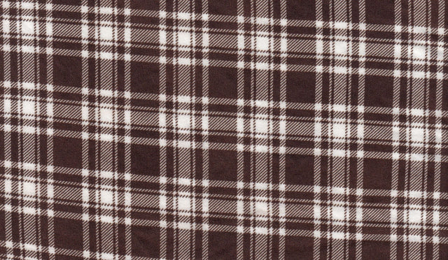 Plaid Print Knit Fabric