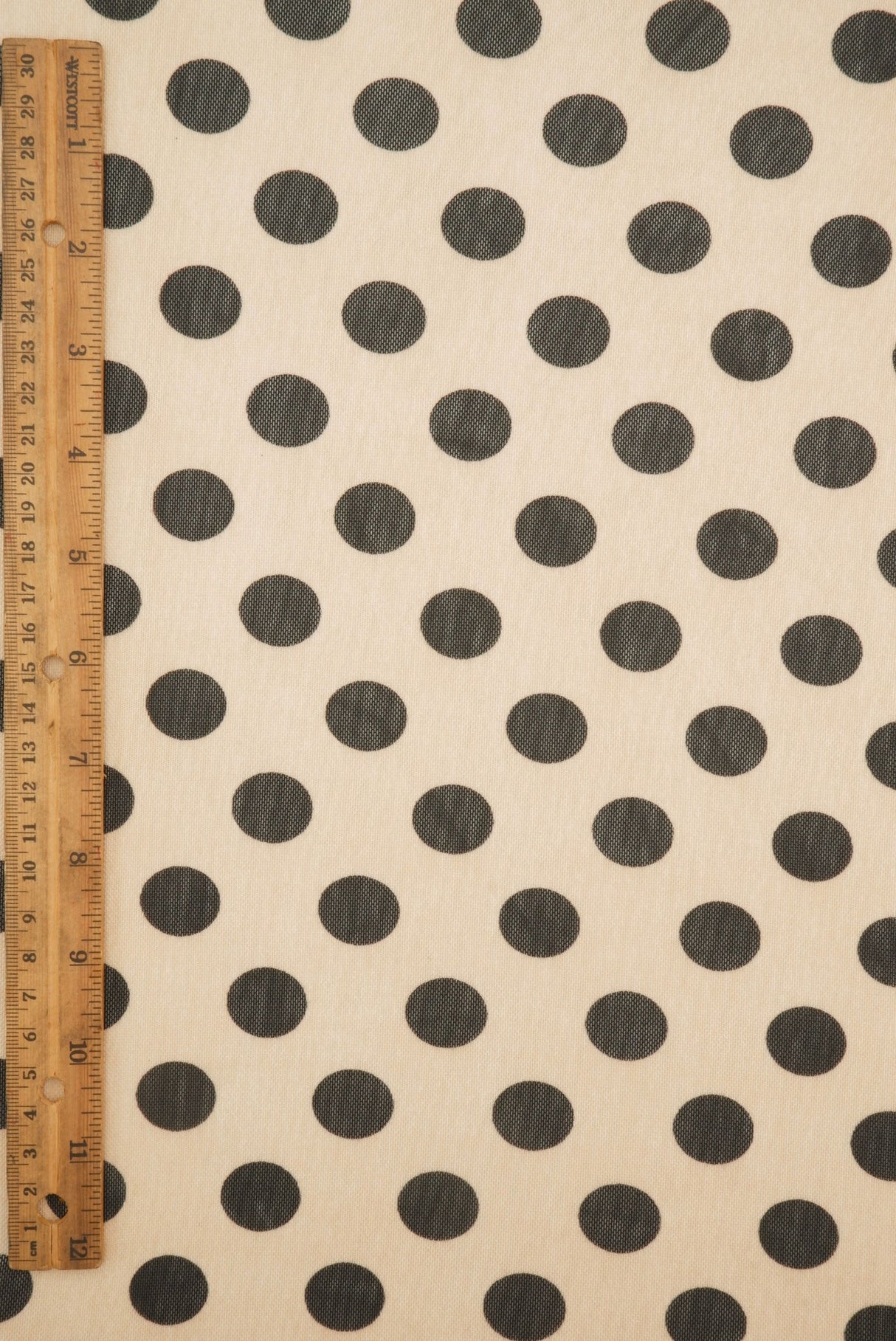 Polka Dot Mesh Print