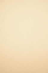 DTY Brushed Stretch Knit Fabric