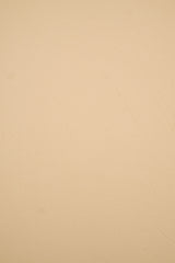 DTY Brushed Stretch Knit Fabric