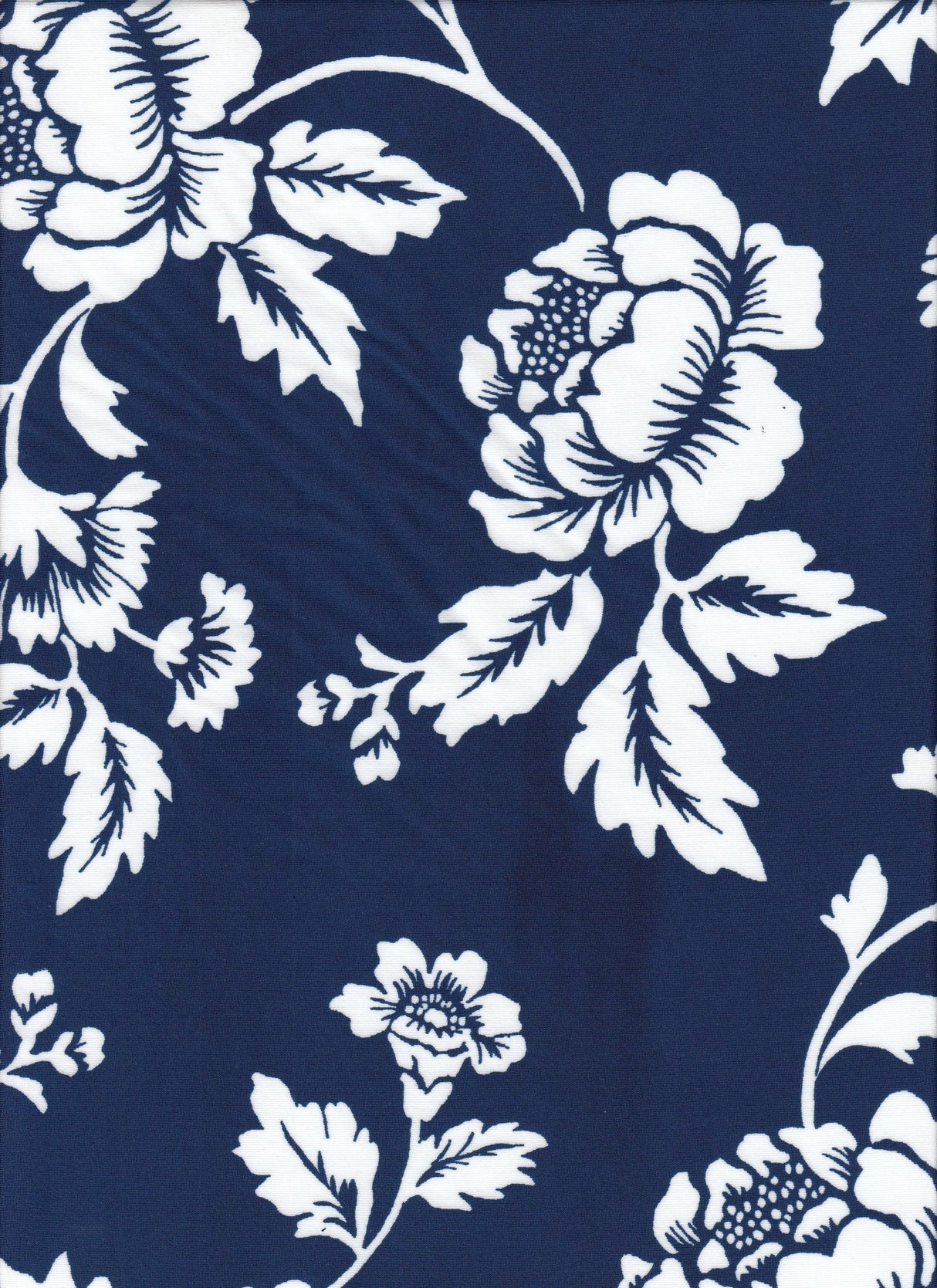 Floral DTY Knit Fabric