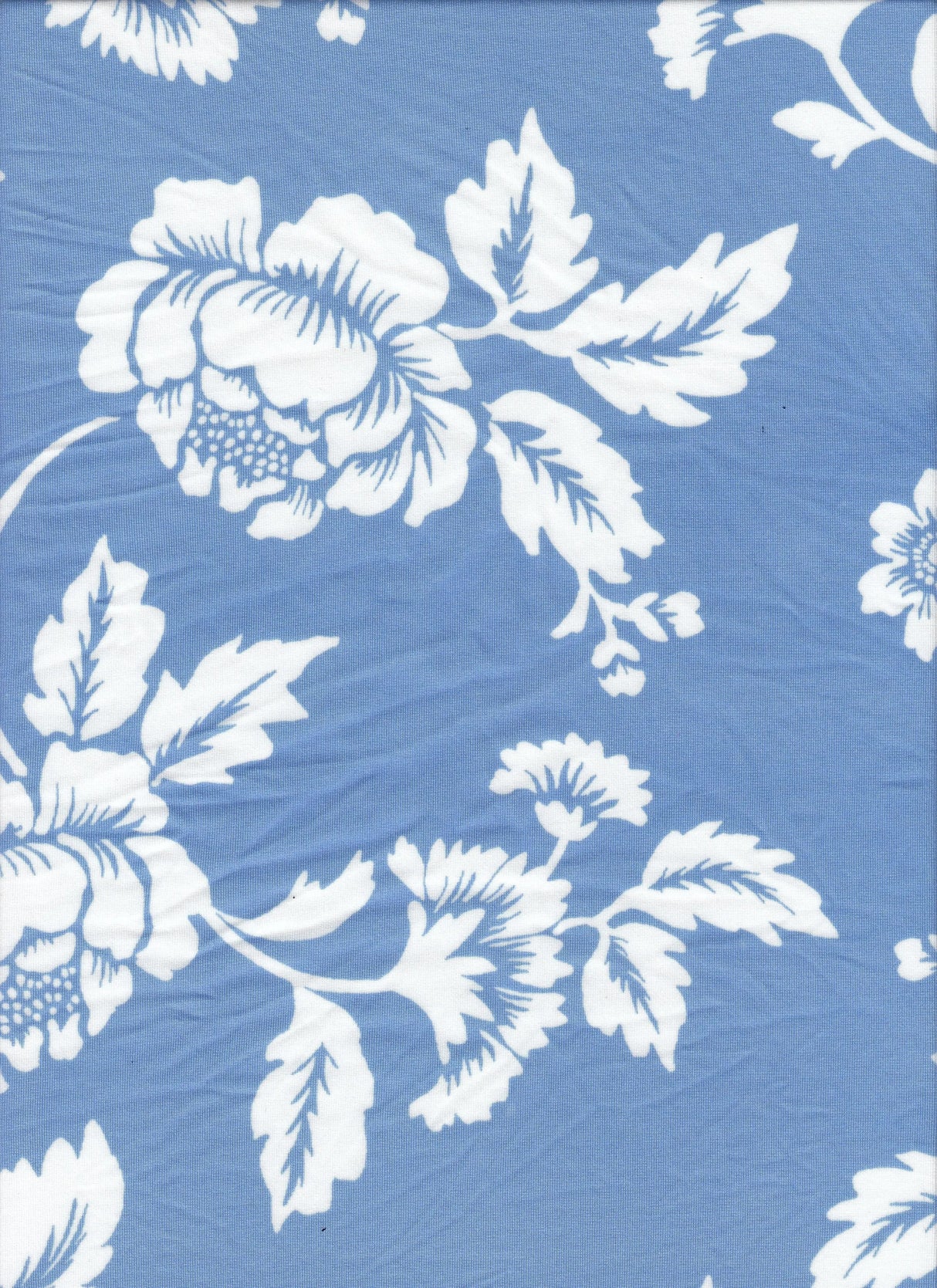 Floral DTY Knit Fabric