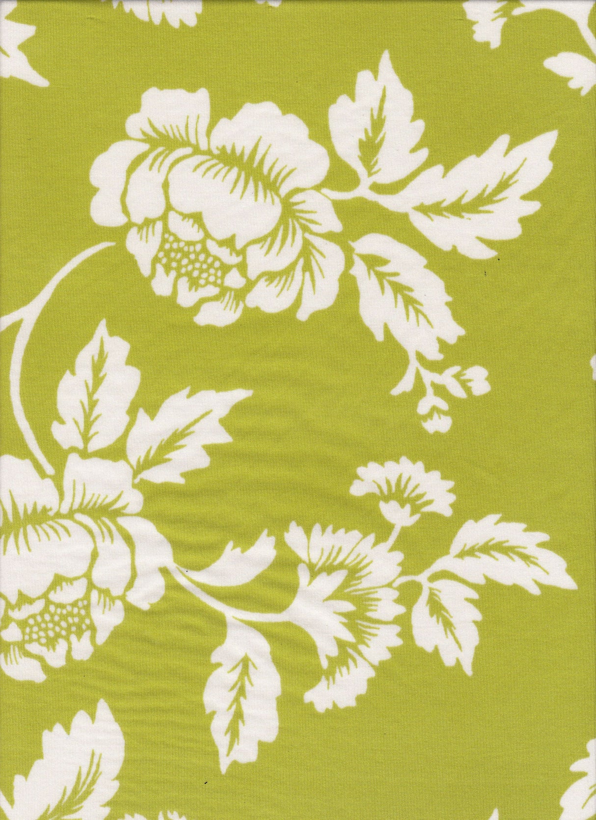 Floral DTY Knit Fabric