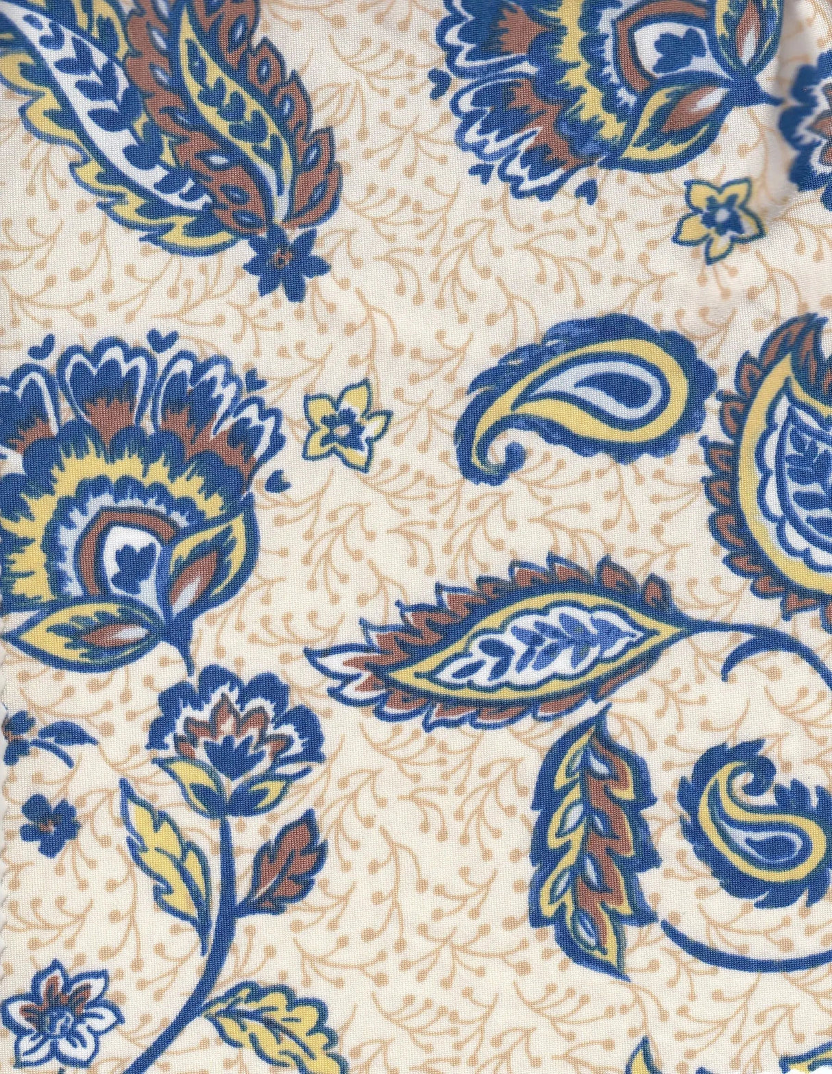 Printed DTY Knit Paisley