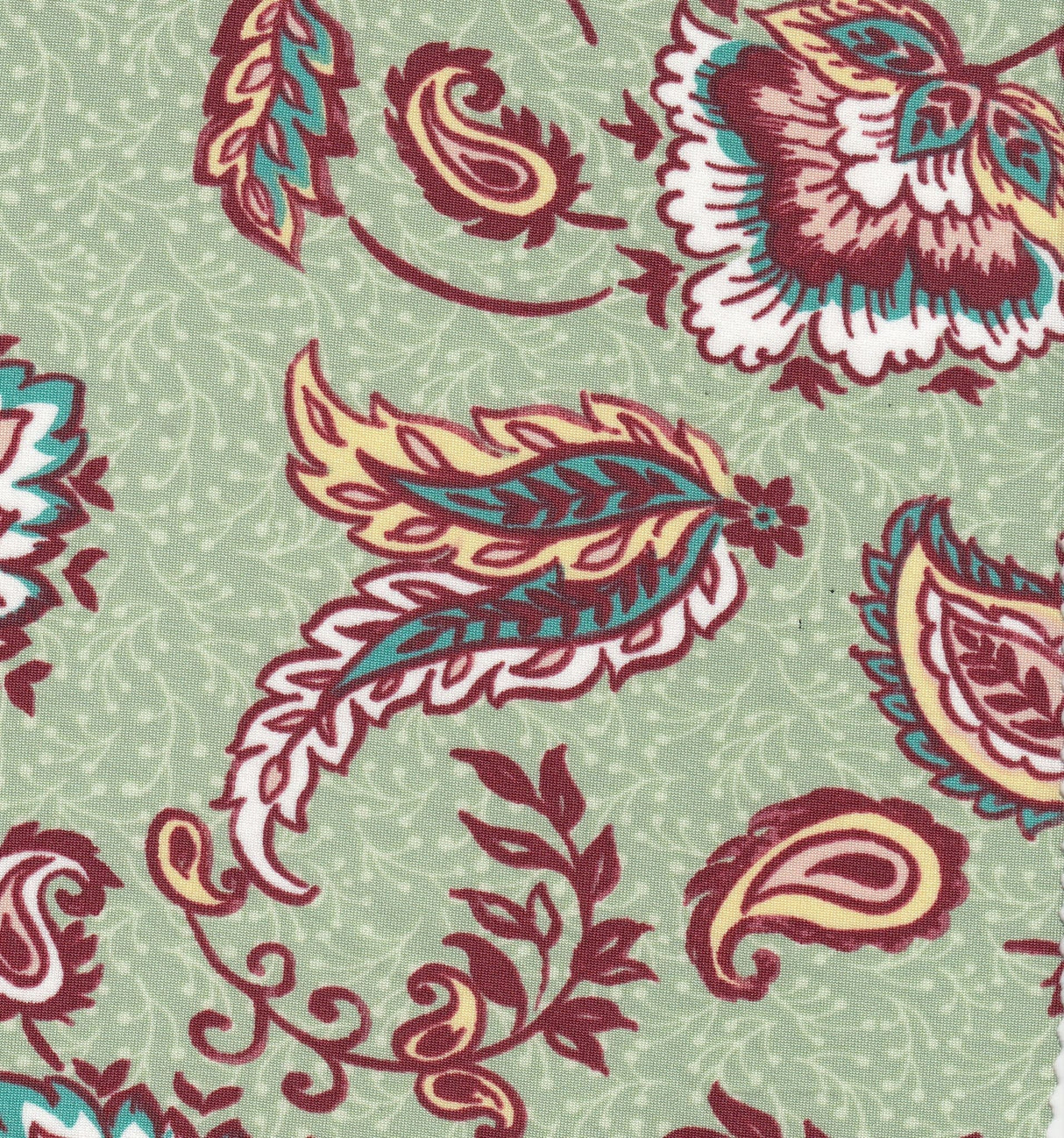 Printed DTY Knit Paisley