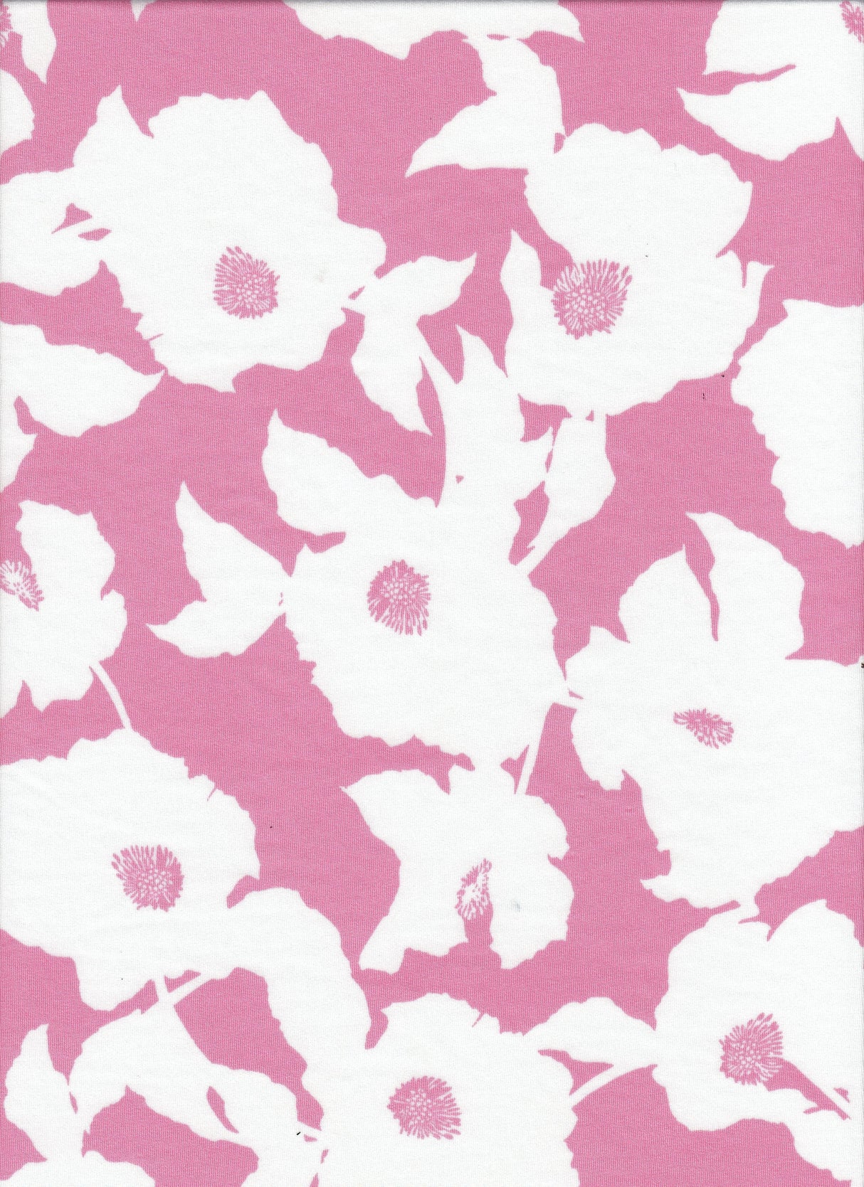 Floral DTY Polyester Spandex Knit