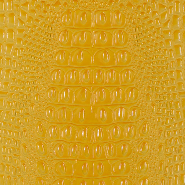 Yellow Crocodile Vinyl