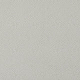 Ivory Textured Dots Polyester Woven