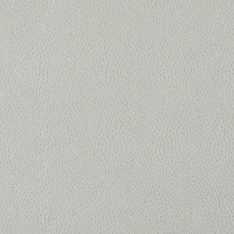 Ivory Textured Dots Polyester Woven