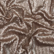 Mariah Champagne Baby Sequins on Mesh