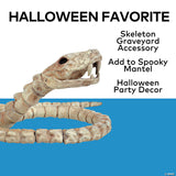 12 1/4" Slithering Snake Plastic Skeleton Halloween Decoration