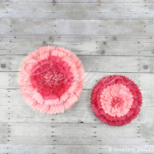12",16" Tissue Starburst Flowers-2 Pcs/Set (Fuchsia)