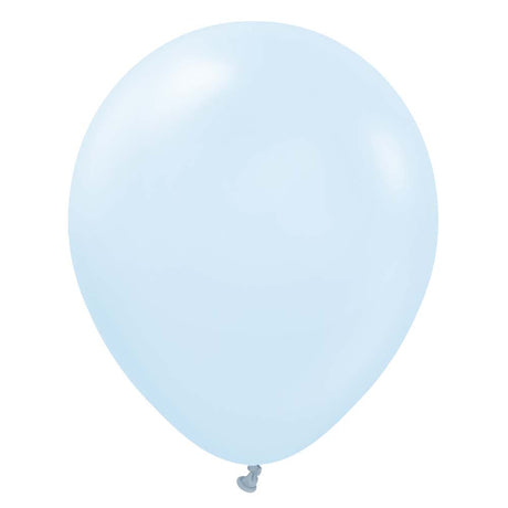 Latex Balloons Baby Blue 12 Inch
