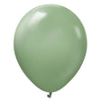 Latex Balloons 12 Inch Kalisan Retro Eucalyptus