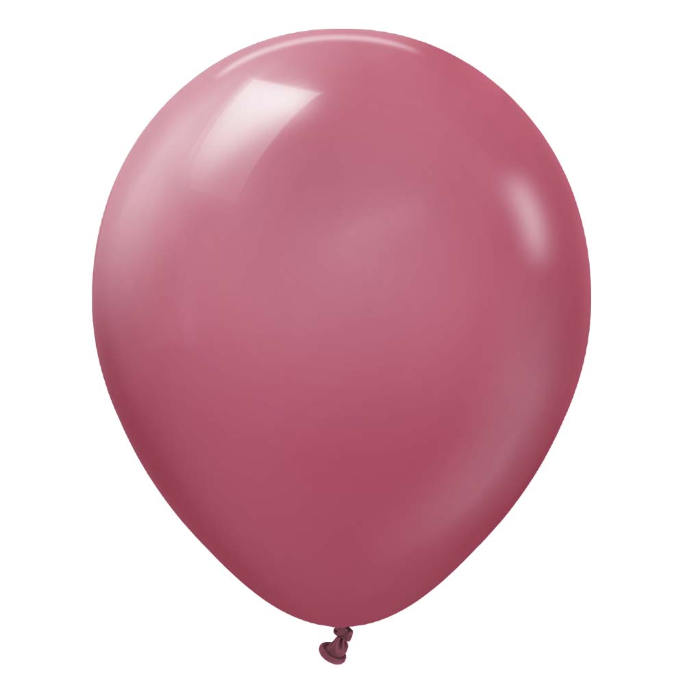Latex Balloons Retro Wild Berry