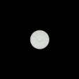 Italian Ivory Floral Nylon Button - 16L/10mm