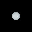 Italian White Shank Glossy Back Button - 16L/10mm