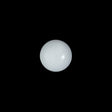 Italian White Glossy Shank Back Button - 18L/11.5mm