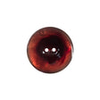 Italian Red 2-Hole Shell Button - 32L/20mm