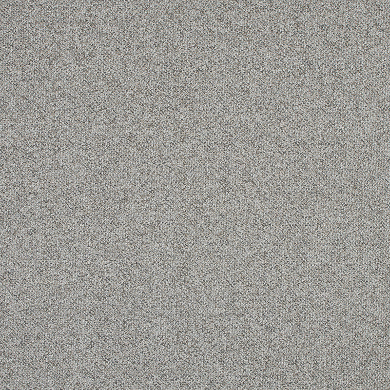 Beige and Gray Upholstery Tweed