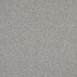 Beige and Gray Upholstery Tweed