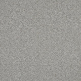 Beige and Gray Upholstery Tweed