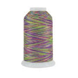 Cotton Thread Joseph's Coat King Tut