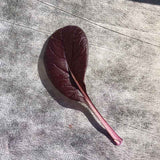 Pak Choi Purple BV950 Seed
