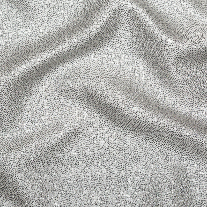 Metallic Silver Cheetah Spotted Luxury Brocade