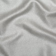 Metallic Silver Cheetah Spotted Luxury Brocade