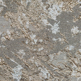 Gold and Pale Gray Luxury Abstract Metallic Brocade