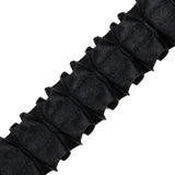 Italian Black Box Pleated Trimming - 1"