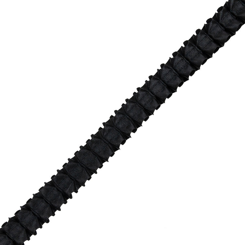 Italian Black Box Pleated Trimming - 1"