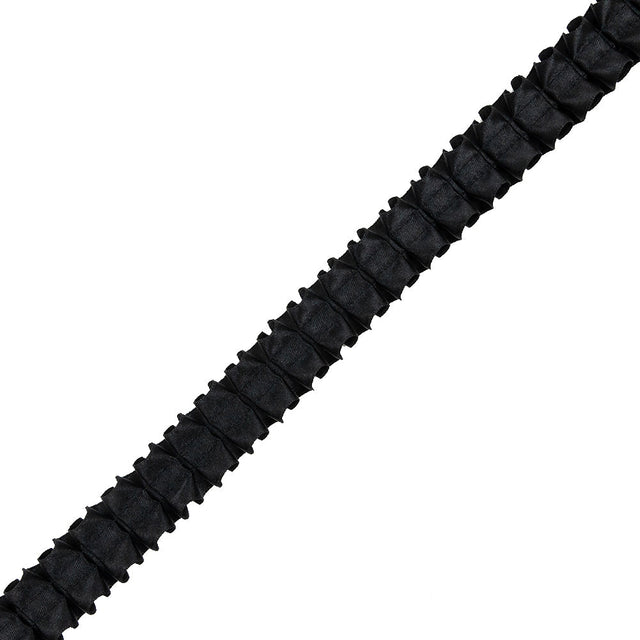 Italian Black Box Pleated Trimming - 1"