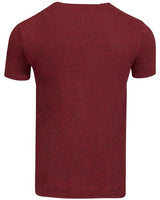 Threadfast Apparel Unisex Triblend T-Shirt