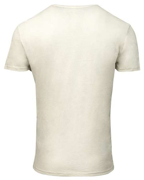 Threadfast Apparel Unisex Triblend T-Shirt