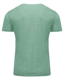 Threadfast Apparel Unisex Triblend T-Shirt