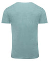 Threadfast Apparel Unisex Triblend T-Shirt