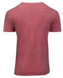 Threadfast Apparel Unisex Triblend T-Shirt